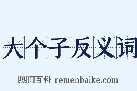 大个子反义词是什么意思的图片